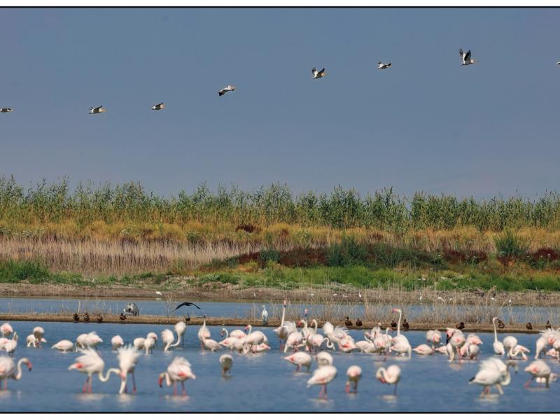 Λίμνη Κάρλα