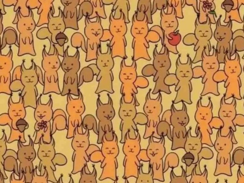 ψευδαίσθηση