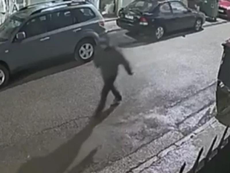 Περιστέρι φοιτήτρια