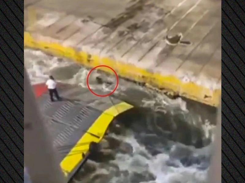 Δολοφονία Αντώνη Καργιώτη - Βlue Horizon