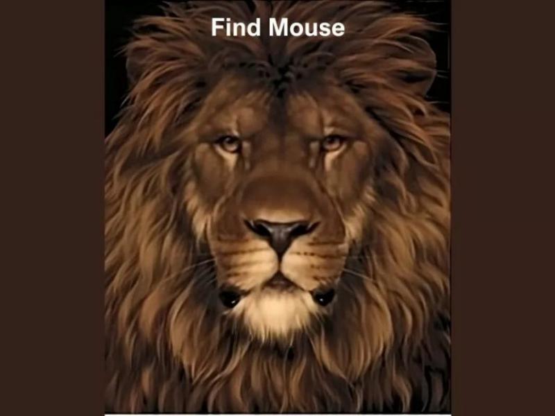 Σπαζοκεφαλιά με λιοντάρι