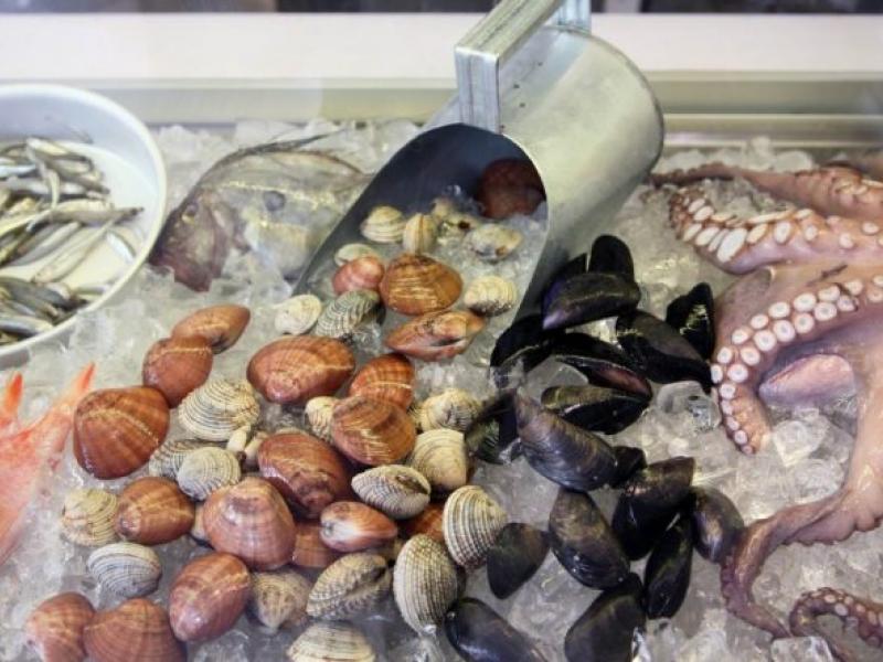 οστρακοειδη