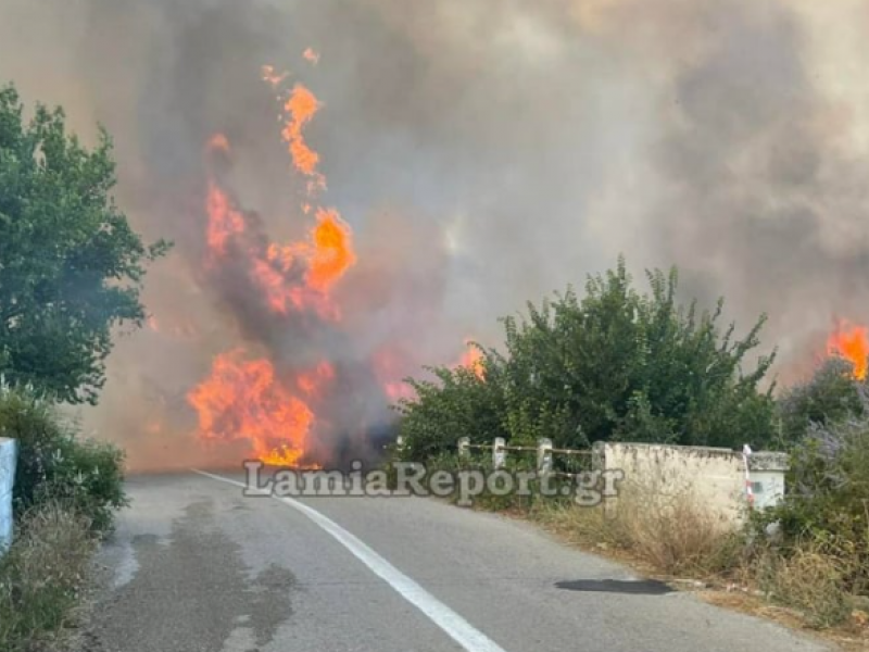 Φωτιά στη Στυλίδα