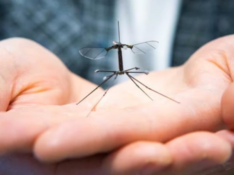 drone κουνούπι