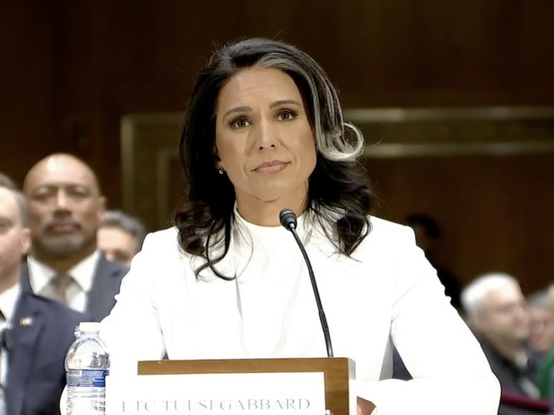 tulsi gabbard