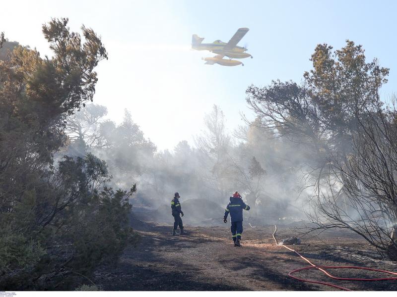 Φωτιά στη Ραφήνα