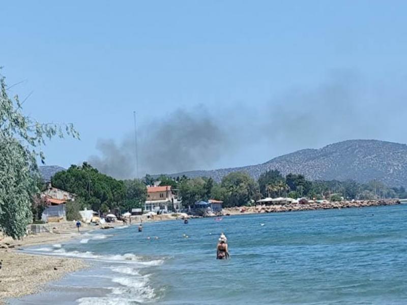 Φωτιά στον Μαραθώνα