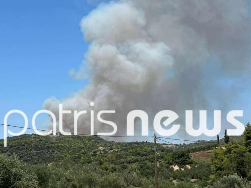 Φωτιά στην Ηλεία