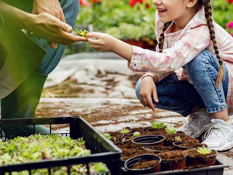 λαχανόκηποι