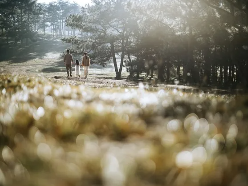 Γενεαλογικό δέντρο