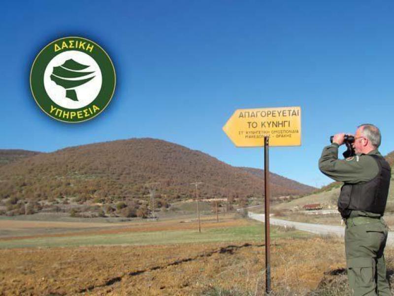 Δασική Υπηρεσία