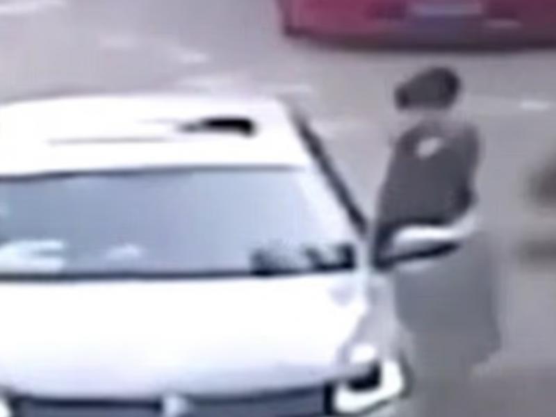 Τίγρης κατασπάραξε γυναίκα σε σαφάρι μπροστά στα μάτια της οικογένειάς της