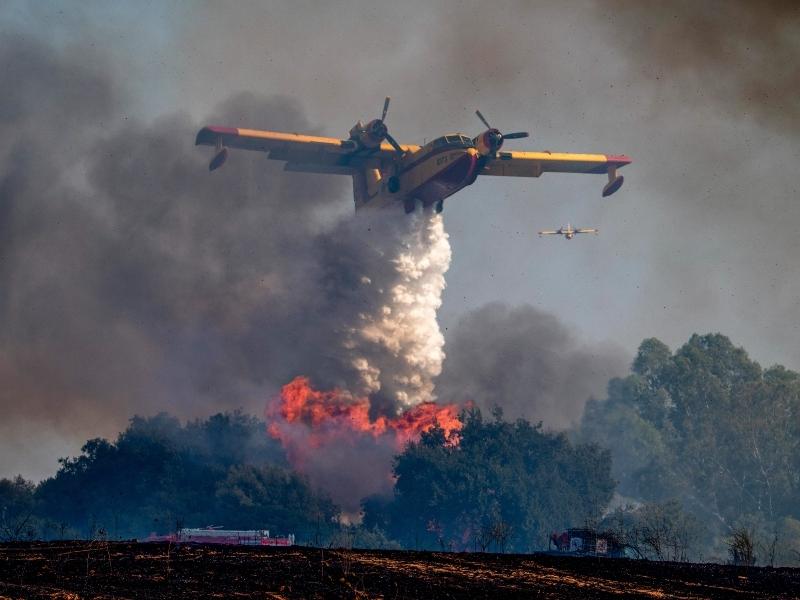 Φωτιά στην Κερατέα, αεροπλάνο κάνει ρίψεις νερού