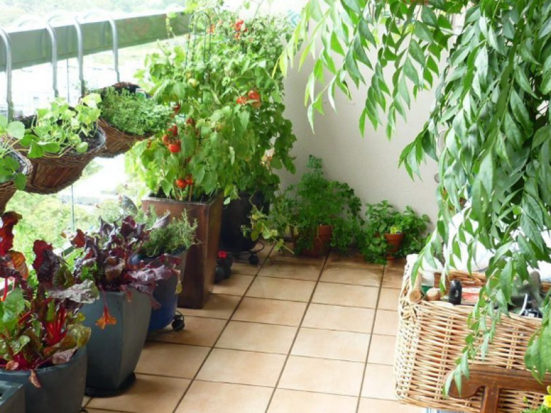 γλάστρες σε μπαλκόνι