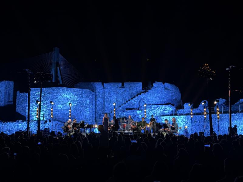 Συναυλία Σ. Ξαρχάκου.JPG