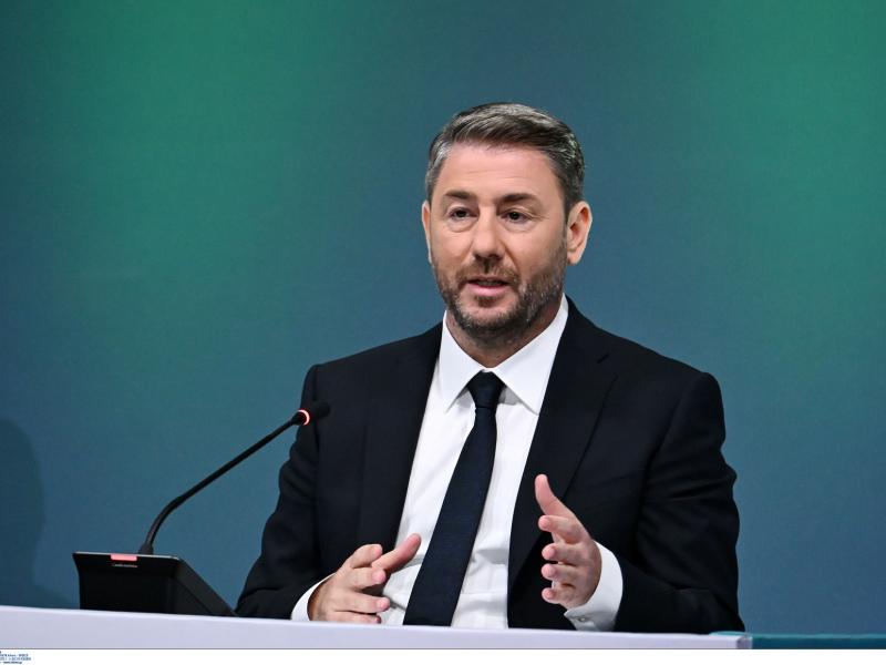 Νίκος Ανδρουλάκης