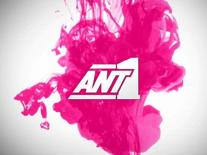 ant1.jpg