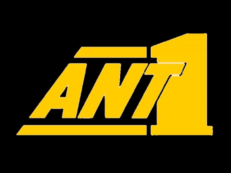 ant1_0.jpg