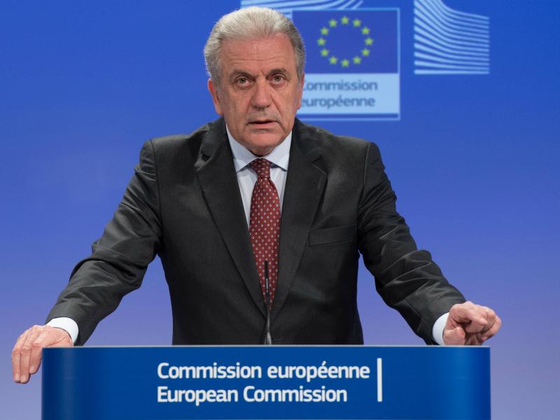 avramopoulos.jpeg