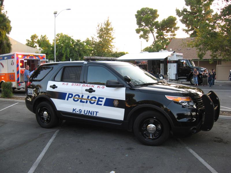 bakersfield_police_department_k-9_crusier.jpg