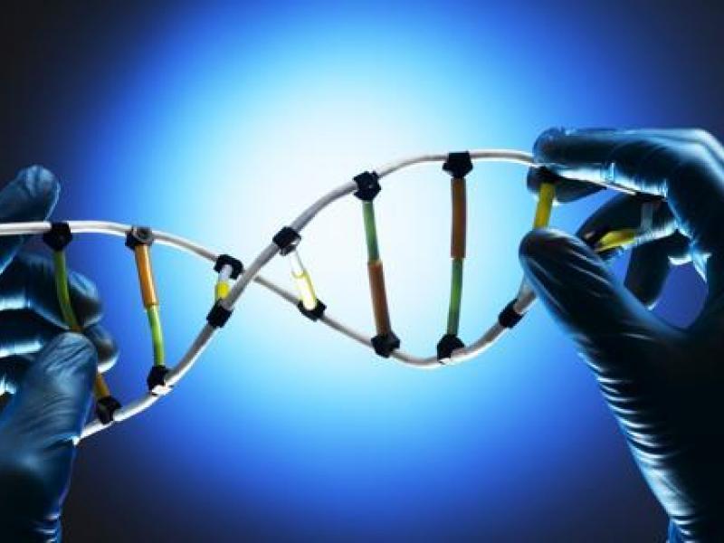 banca-dati-dna.jpg