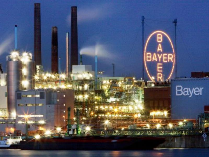 bayer.jpg