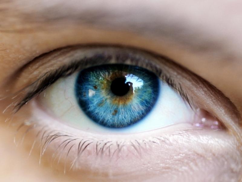 blue_eye.jpg