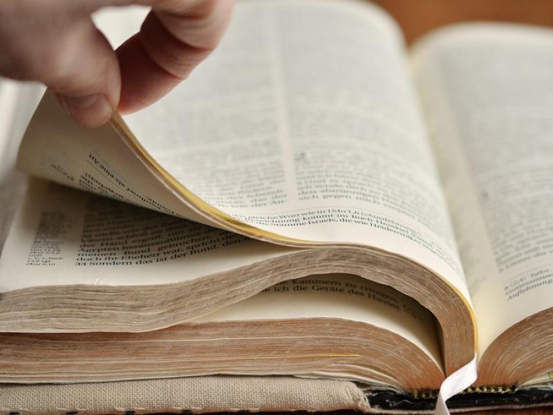 book-pages-2021302_960_720.jpg
