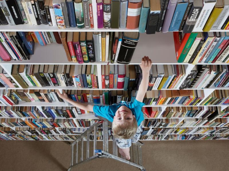 books_child_ladder_5.jpeg