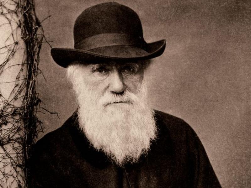 charles-darwin.jpg