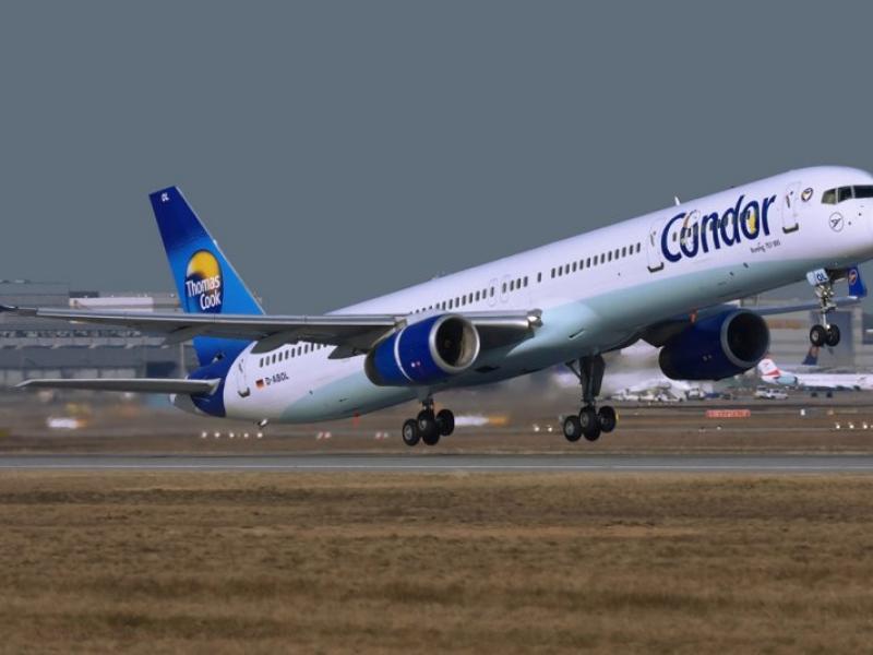 condor_757.jpg