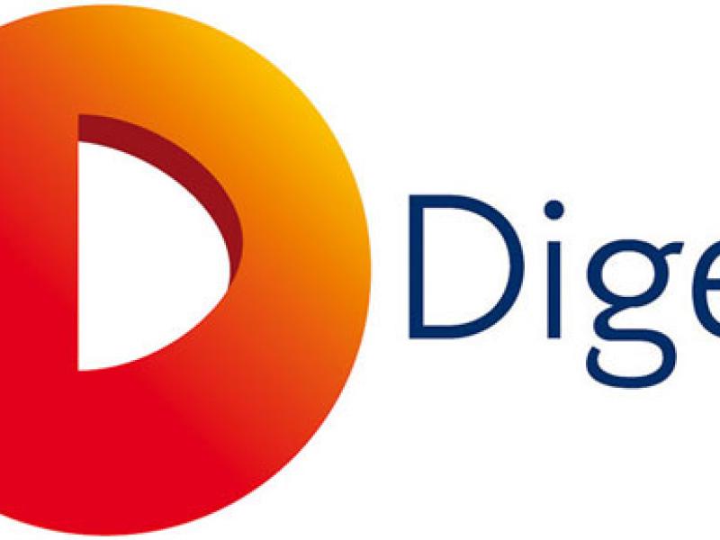 digea-logo11.jpg