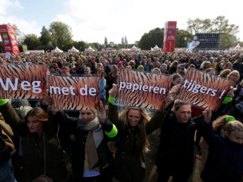 dutch_teachers_strike.jpg