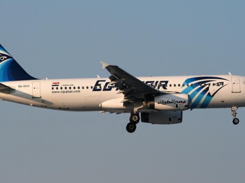 egyptair-airbus-a320-232sugcccrashed-tobianlitek.jpg