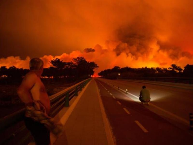 fires_portugal.jpg