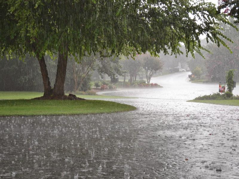 heavyrain.jpg