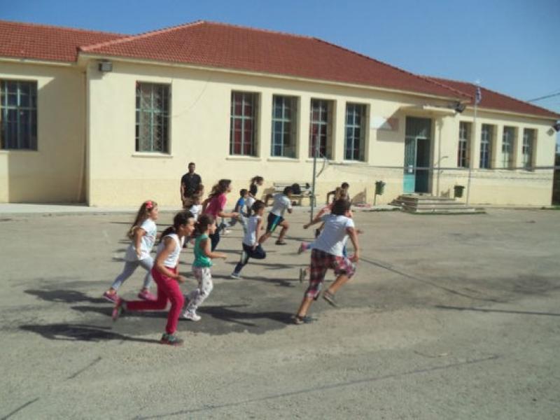 Βατόλακκος πρότυπο σχολείο