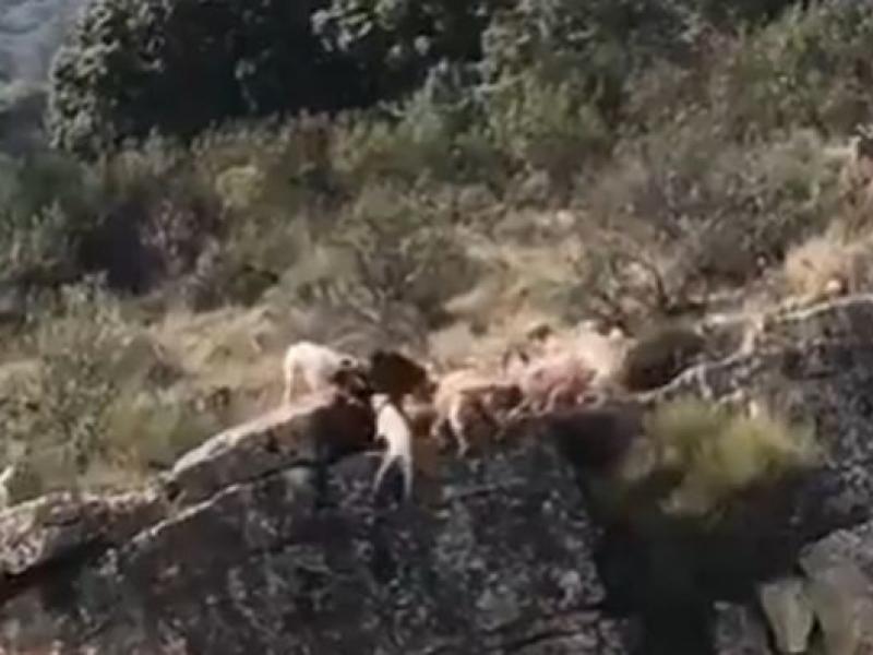 Σκληρές εικόνες