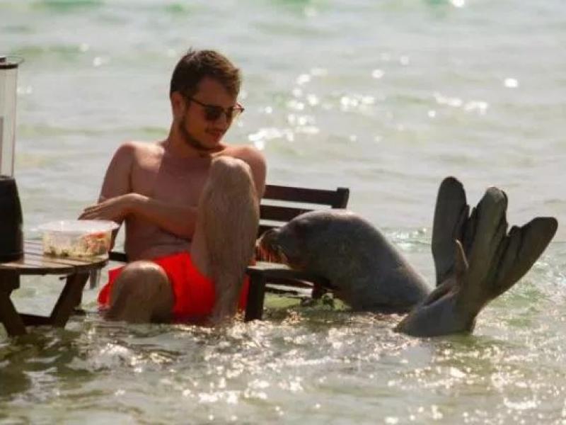 Η φώκια Αργυρώ ήταν πολύ αγαπητή στη Σάμο