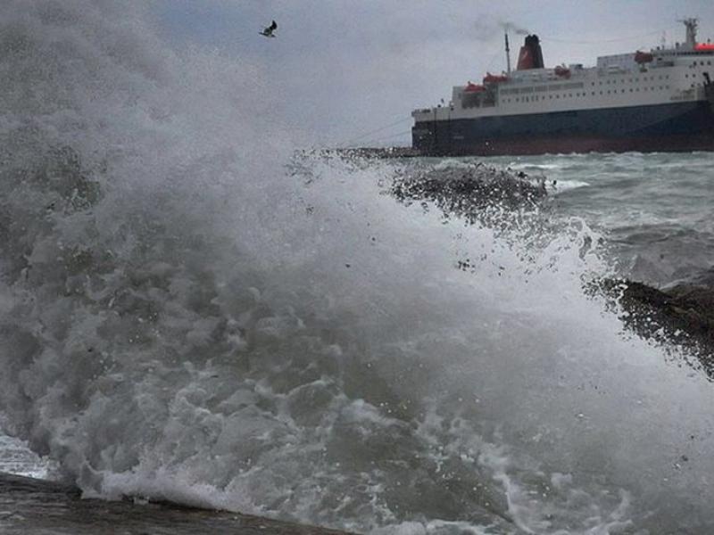 απαγορυετικο