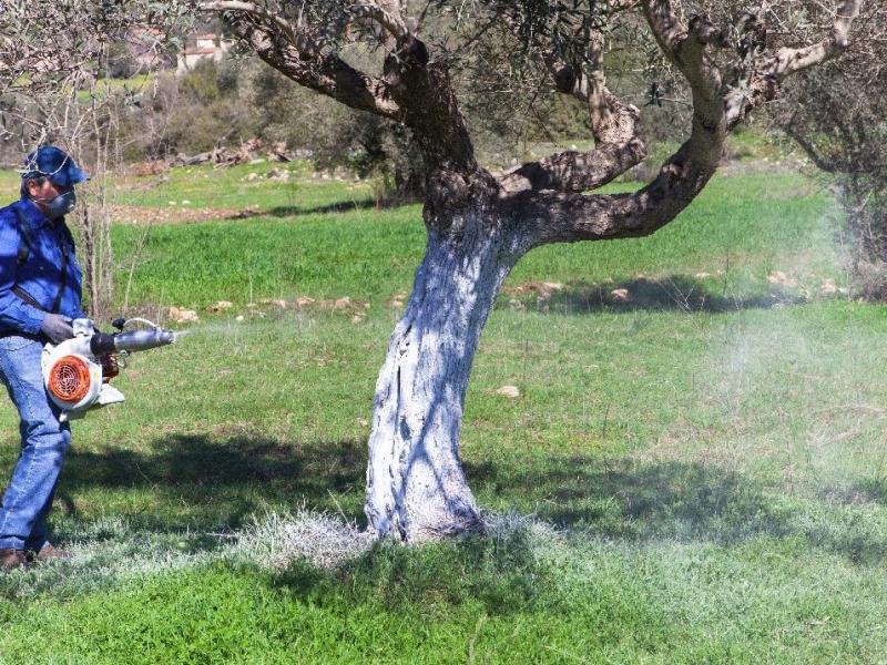 δακοκτονία