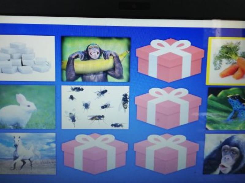 Παιχνίδι για τυφλά παιδιά