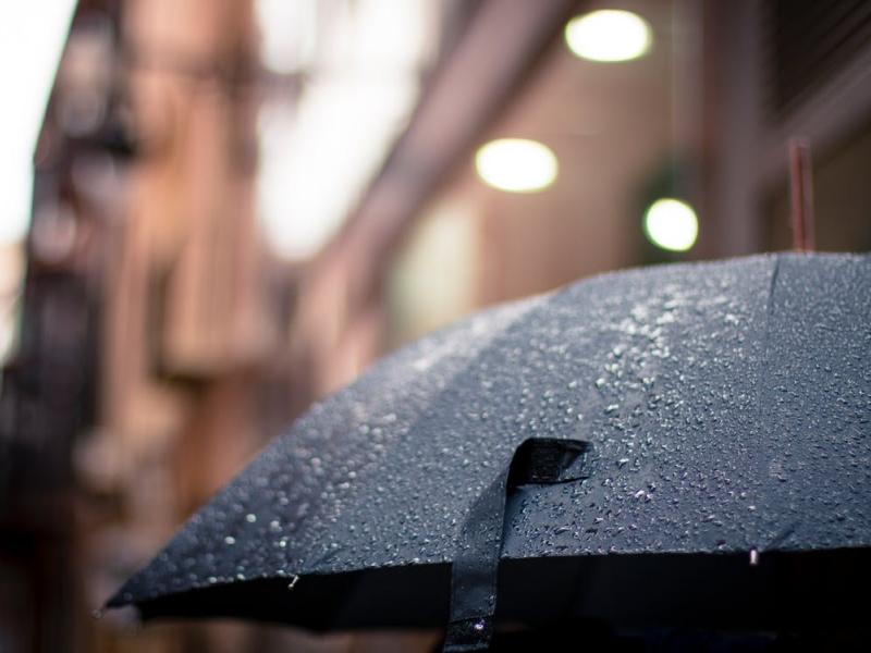 umbrella_3012019.jpg