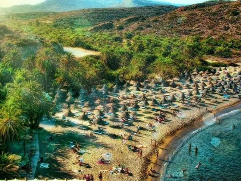 Το φοινικόδασος του Βάι