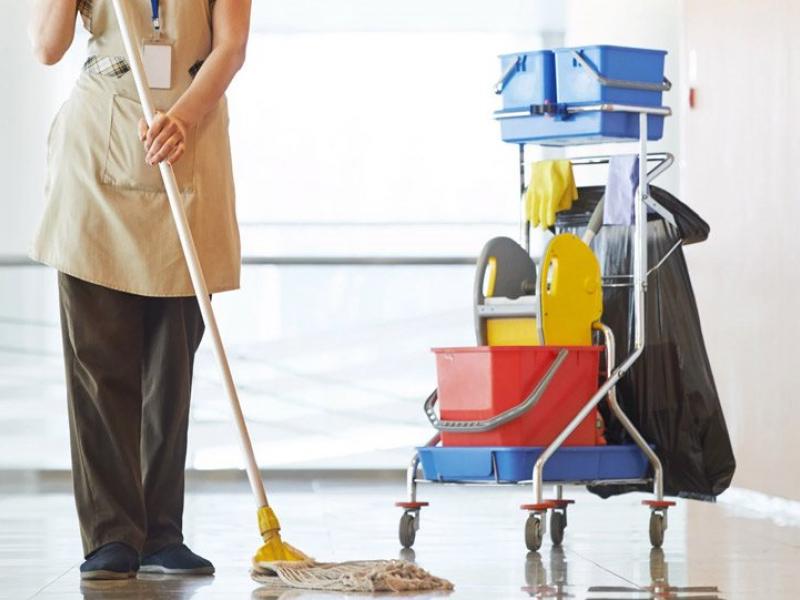 καθαριστες