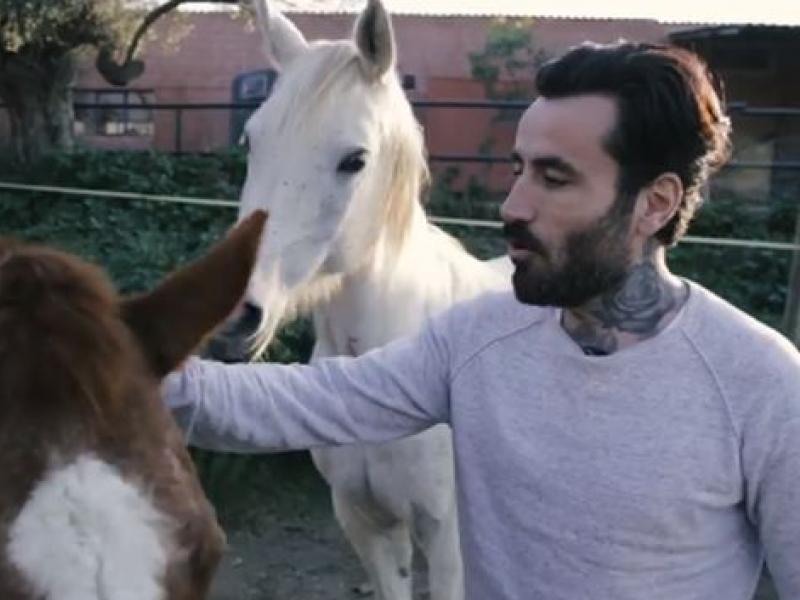 Ο Γιώργος Μαυρίδης σε καμπάνια κατά της κακοποίησης ιπποειδών