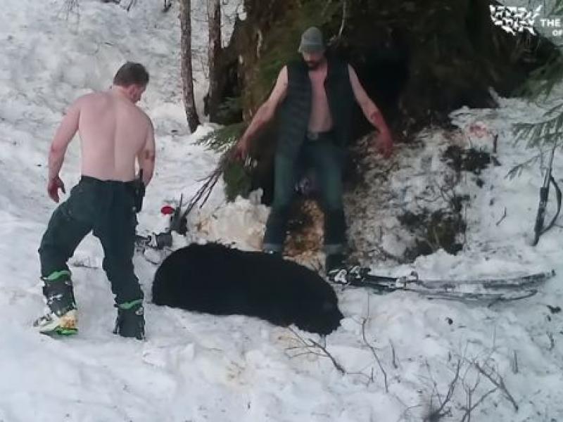 Κυνηγοί σκότωσαν αρκούδα με τα μωρά της