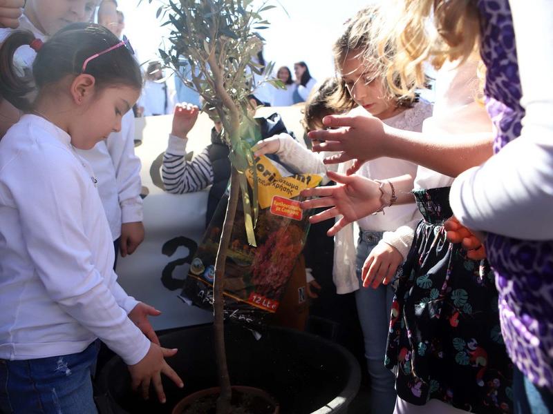 δεντρο μαθητες εβραικο σχολειο