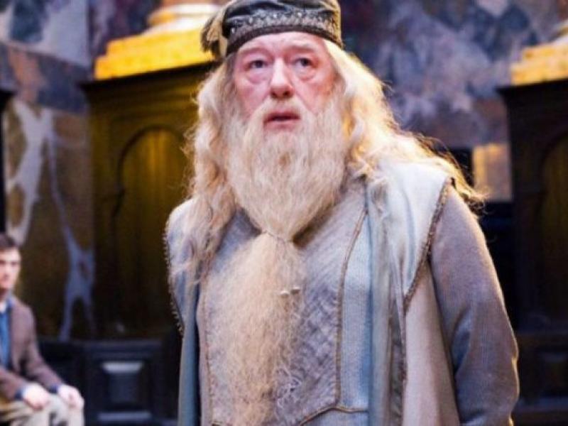 Ο καθηγητής Ντάμπλντορ