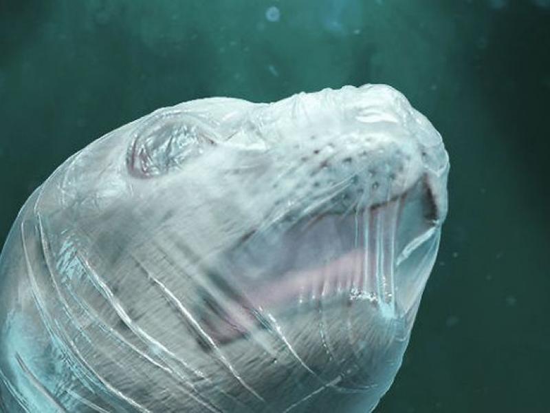 Καμπάνια για τα πλαστικά στις θάλασσες